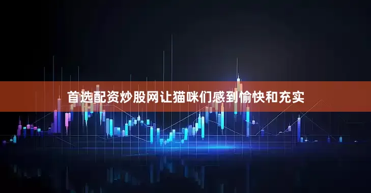 首选配资炒股网让猫咪们感到愉快和充实