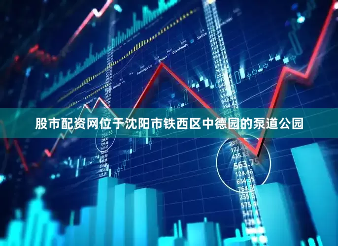 股市配资网位于沈阳市铁西区中德园的泵道公园